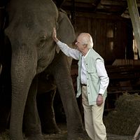 Bilder Robert Gustafsson