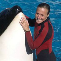 Bilder Dawn Brancheau