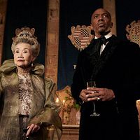 Bilder Nikol Kollars