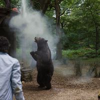 Bilder Aaron Holliday