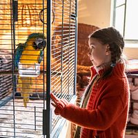 Bilder Pola Friedrichs