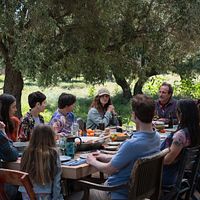 Bilder Natalia Plascencia