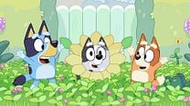 Bild von Bluey im Kino: „Playdates“ - Kollektion Trailer DF
