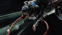 Bild von Insekten - Helden im Verborgenen Trailer DF