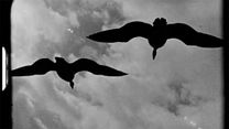 Bild von Super Nature Teaser OV