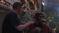 Bild von Primate Making Of OmdU