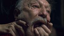 Bild von Soy Trailer OmdU