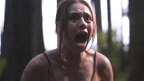 Bild von Pitfall Trailer (2) OV