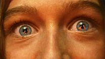 Bild von Trees are Watching Trailer OV