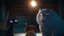 Bild von Gatto Trailer DF