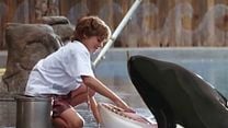 Bild von Free Willy - Ruf der Freiheit Trailer DF