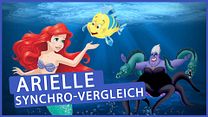 Bild von Krasse Veränderung! Arielle Synchro im Wandel der Zeit