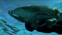 Bild von Im Rausch der Tiefe Trailer (2) DF