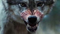 Bild von Out Come the Wolves Trailer OV