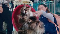 Bild von Miau und Wau Trailer OmeU