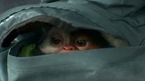 Bild von Gremlins 3 Teaser OV