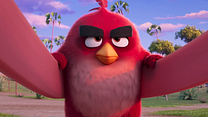 Bild von The Angry Birds Movie 3 Teaser OV