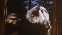Bild von Ein Junge schrie Werwolf Trailer OV