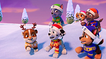 Bild von Paw Patrol: Rubbles Weihnachtswunsch Trailer DF