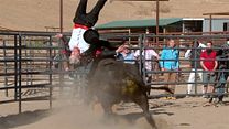 Bild von Jackass 5: Einer geht noch Trailer DF