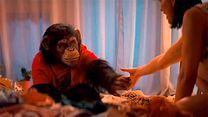 Bild von Primate Trailer DF