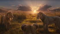Bild von Mufasa: Der König der Löwen Trailer OV