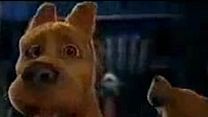 Bild von Scooby-Doo Trailer OV