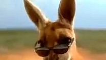 Bild von Kangaroo Jack Trailer OV