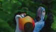 Bild von Rio Trailer DF