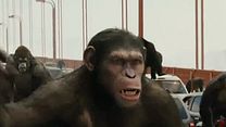 Bild von Planet der Affen: Prevolution Trailer (8) OV