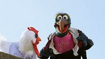 Bild von Die Muppets Trailer DF