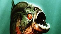 Bild von Piranha 2 Teaser OV