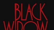 Bild von Die schwarze Witwe Trailer OV