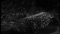 Bild von The Giant Gila Monster Trailer OV