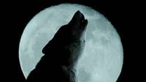 Bild von Wolfblood - Verwandlung bei Vollmond Trailer DF