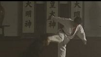 Bild von Black Belt Trailer DF