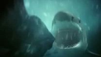 Bild von Shark Week ... 7 Tage - 7 Haie Teaser OV