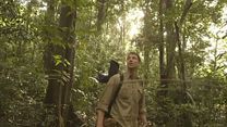 Bild von The Jungle - Es wird Dich jagen Trailer (2) OV