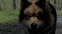 Bild von Wolfblood - Verwandlung bei Vollmond - staffel 2 Trailer DF
