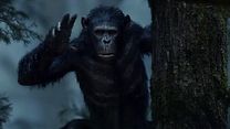 Bild von Planet der Affen: Revolution "Prepare" TV Spot