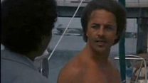Bild von Miami Vice Trailer DF