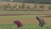 Food For Change: The Story Of Cooperation In America Trailer OV