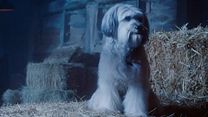 Bild von Pudsey - Ein tierisch cooler Held Trailer (2) OV