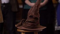 Bild von Harry Potter - Real Life Sorting Hat