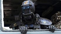 Bild von Chappie Trailer OV