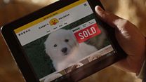 Bild von Super-Bowl Werbespot zu GoDaddy