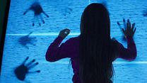 Bild von Poltergeist Trailer (2) OV