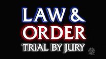 Bild von Law & Order: Trial by Jury Intro OV