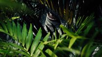 Bild von Jurassic World Videoclip (3) OV