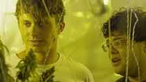 Bild von Cannabis Kid Trailer DF